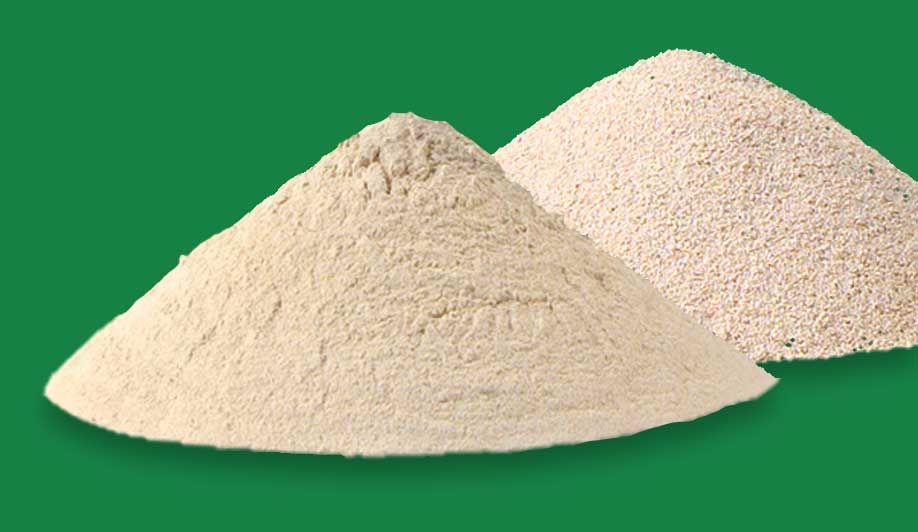 SweetPDZ zeolite comes in powder and granular forms.